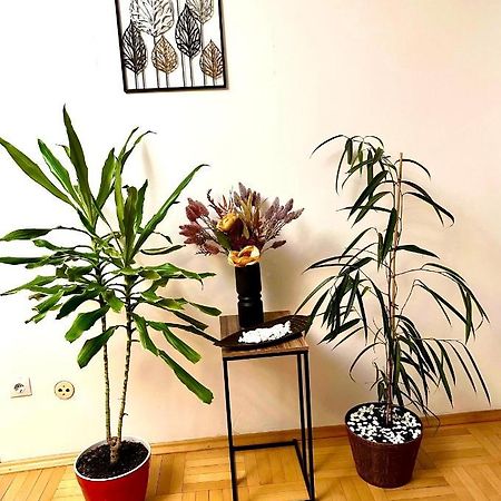 Vintage Bucharest Apartment מראה חיצוני תמונה