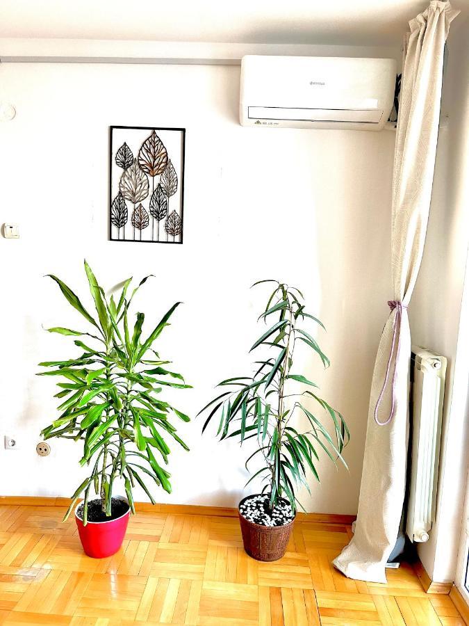Vintage Bucharest Apartment מראה חיצוני תמונה