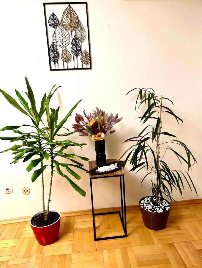 Vintage Bucharest Apartment מראה חיצוני תמונה